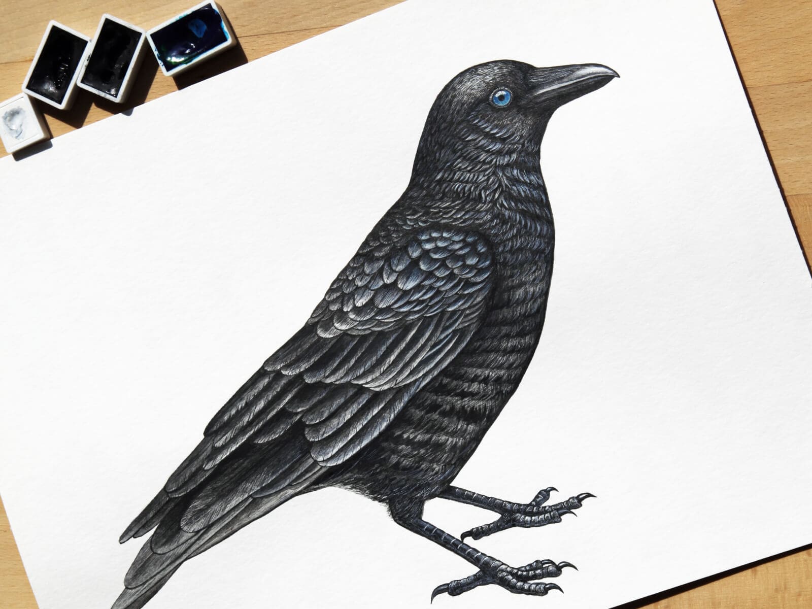 portfolio4new portfolio4new