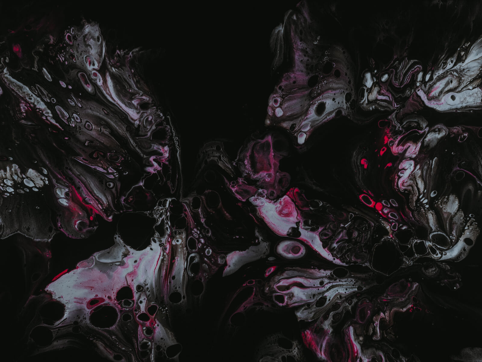 portfolio8new portfolio8new